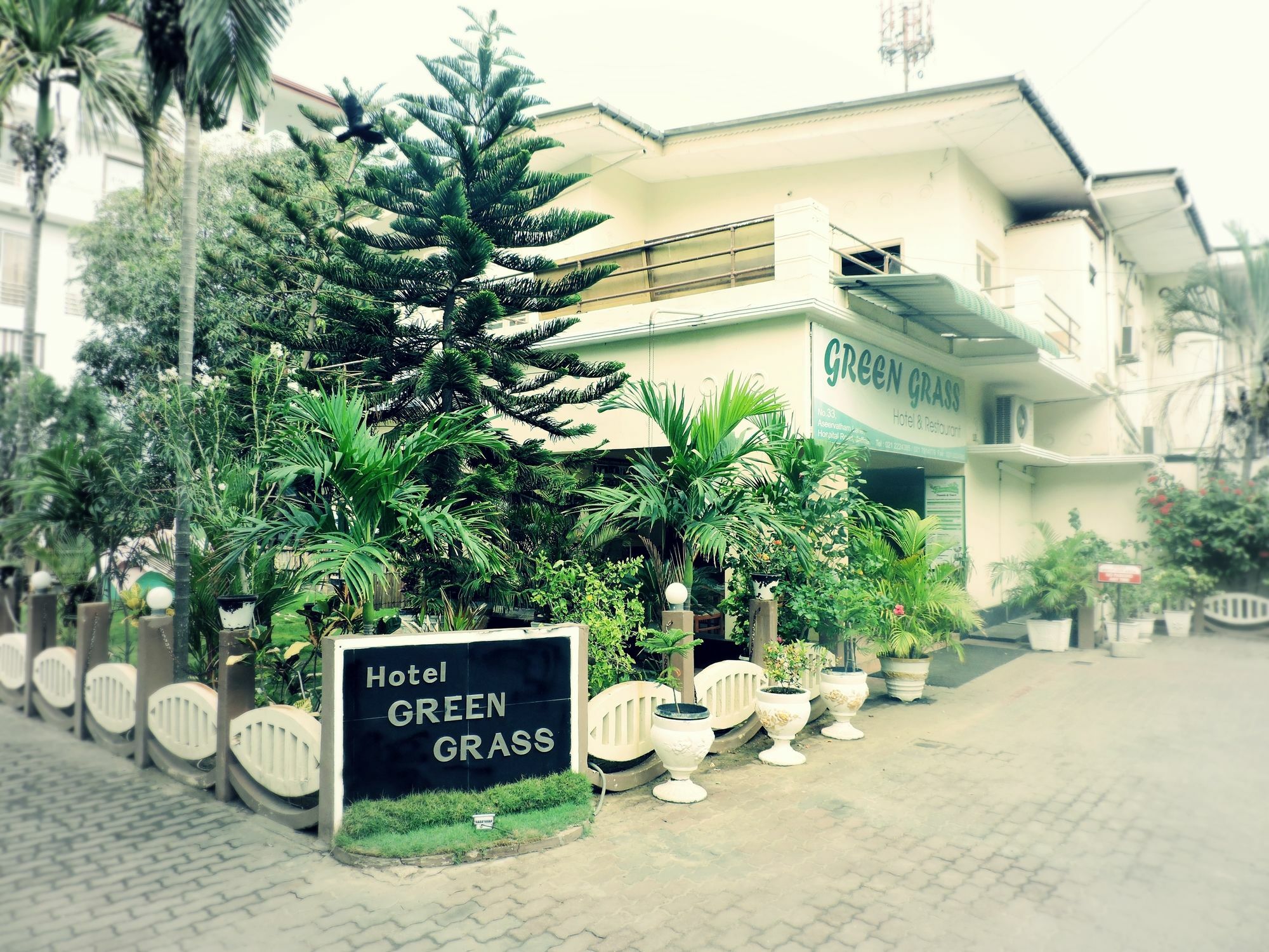 Green Grass Hotel & Restaurant Jaffna Exterior foto